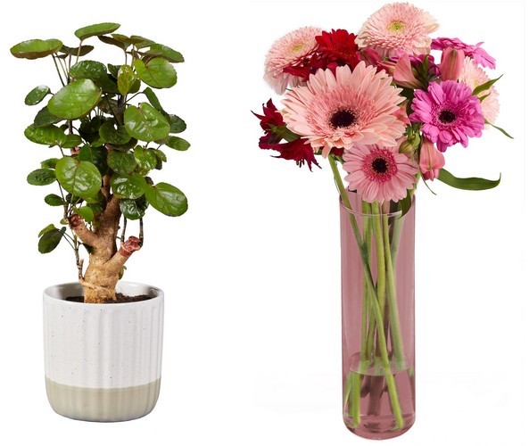 vytvorte si botanickú záhradu