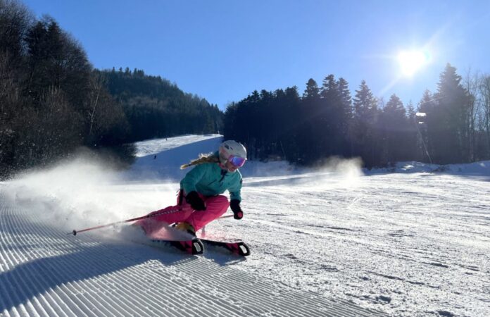 rodinná dovolenka salamandra